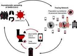 "Chytrá" toaleta by na každém větším pracovišti mohla sloužit také jako centralizované diagnostické centrum pro odhalování infekce COVID-19 u lidí s jejím bezpříznakovým průběhem. Odběr vzorků stolice pro testy virové RNA bude automatizovaný a po každém uživateli také dojde k desinfekci povrchu toalety. Uživatel WC musí být registrován na zdravotnickém portálu, což lze učinit i mobilem přímo na toaletě. Výsledky by měly být k dispozici za čtvrt hodinu. Co však s těmi, u nichž požadovaná činnost patří k ranním rituálům? Kredit: Ge, T.J.et al. Smart toilets for monitoring COVID-19 surges: passive diagnostics and public health. npj Digit. Med. 5, 39 (2022).   (https://doi.org/10.1038/s41746-022-00582-0)