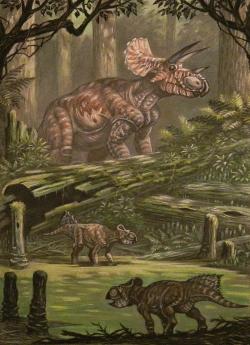 Klima v posledních stovkách tisíc let křídy bylo přinejmenším na území západu Severní Ameriky (dřívější Laramidie) velmi teplé a vlhké. Dinosauři jako ceratopsid Triceratops horridus a jeho menší příbuzný Leptoceratops gracilis tak žili ve světě končícího „dlouhého dinosauřího léta“. Kredit: ABelov2014; Wikipedia (CC BY 3.0)