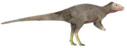 Přibližné vzezření ornitopoda druhu Trinisaura santamartaensis, vědecky popsaného v roce 2013. Morrosaurus vypadal zřejmě velmi podobně, jde o dva blízce příbuzné druhy. Oba dinosauři obývali Antarktidu v období svrchní křídy, kdy zdejší podmínky ještě umožňovaly dlouhodobý výskyt větších obratlovců. Kredit: Levi bernardo, licence CC BY-SA 3.0 (Wikipedie)