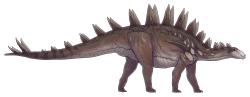 Rekonstrukce vzezření zástupce druhu Tuojiangosaurus multispinus, jednoho z největších známých stegosaurů. Tento až 7 metrů dlouhý a téměř 3 tuny vážící „obrněnec“ obýval oblast dnešní Číny (provincie S’-čchuan) v době před asi 160 miliony let. Kredit: Palaeocolour; Wikipedia (CC BY-SA 4.0)