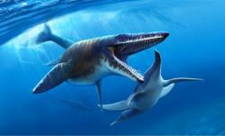 Výtvarná rekonstrukce obřího mosasaurida druhu Tylosaurus proriger, útočícího na menšího polykotylidního plesiosaura. Tento druh dosahoval maximální délky kolem 9,5 metru, zatímco druh T. rex byl s délkou až kolem 13,2 metru ještě podstatně větší. Kredit: Andrej Atuchin (v Zietlow et al.; 2026); Wikimedia Commons (CC BY 4.0)