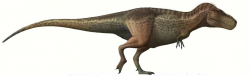 Moderní rekonstrukce pravděpodobného vzezření dospělého jedince druhu Tyrannosaurus rex. Je nepochybné, že tento obří teropod představoval dominantního predátora ve svých ekosystémech a živil se ohromnými kvanty masa. Mohl právě proto onemocnět dnou, která trápí i člověka o desítky milionů let později? Kredit: Steveoc 86; Wikimedia (CC BY-SA 4.0)