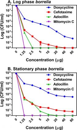Obrázek ukazuje efektivitu několika antibiotik včetně azlocillinu v zabíjení spirochet při různých koncentracích. Vrchní část se zabývá působením na spirochety v logaritmické fázi (exponenciální fáze růstu) a dolní část na spirochety ve stacionární fázi. 
Kredit: Pothineni, V.R., Potula, HH.S.K., Ambati, A. et al. Azlocillin can be the potential drug candidate against drug-tolerant Borrelia burgdorferi sensu stricto JLB31. Sci Rep 10, 3798 (2020). https://doi.org/10.1038/s41598-020-59600-4   CC BY 4.0.