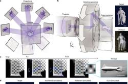 3D tisk DISH. Kredit: Wang et al. (2026), Nature.