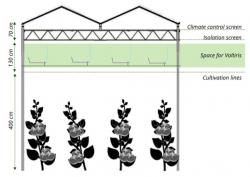 Schéma umístění celého systému složeného z jednotlivých modulů v horních části velkokapacitního skleníku. I v České republice takové velké prosklené haly vyrůstají zejména pro pěstování rajčat.  Kredit: Voltiris.