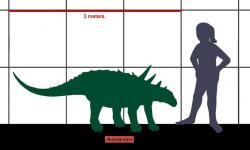 Velikostní srovnání animantarxe a člověka ukazuje, že šlo o jednoho z nejmenších známých rodů ankylosaurů. Přesto dosahoval při délce kolem 3 metrů hmotnosti asi 300 kilogramů. Kredit: Conty, Wikipedie (CC BY 3.0)