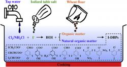 Pokud vaříme z vody obsahující zbytkový chlor či chloraminy a pokrm osolíme jodizovanou kuchyňskou solí, přičiníme se tím o vznik celé řady sloučenin z nichž mnohé jsou vysoce škodlivé.  Když už jsme nuceni takovou vodu použít, je lepší „vařit“ při nižší teplotě a krátce. Kredit: Water Research, Elsevier