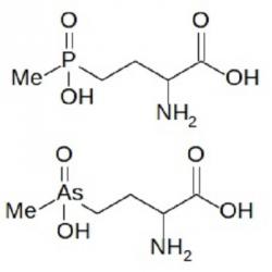 Struktura fosfinotricinu (nahoře), arsinotricinu (dole). Vytvořeno v BKchem.