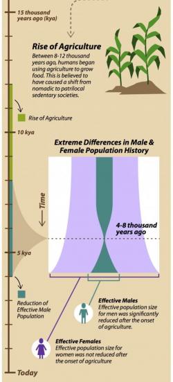 V době před čtyřmi až osmi tisíci lety počet mužů v reprodukci nebezpečně klesl, zatímco počet žen dál utěšeně rostl.   Kredit: Sabine Deviche