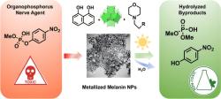 Nanočástice proti chemickým zbraním. Kredit: Aman et al. (2026), ACS Nano.