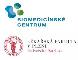 Pracoviště a kontakt na autora. Pracoviště a kontakt na autora.