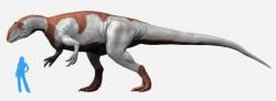 Velikost vzrostlého exempláře jangchuanosaura vynikne v porovnání s dospělým člověkem. Ačkoliv se nejednalo o jednoho z největších známých teropodů vůbec, s délkou až 11 metrů a hmotností kolem 3 tun představoval nepochybně jednoho z nejmohutnějších predátorů období střední jury. Kredit: Nobu Tamura; Wikipedie (CC BY-SA 4.0)