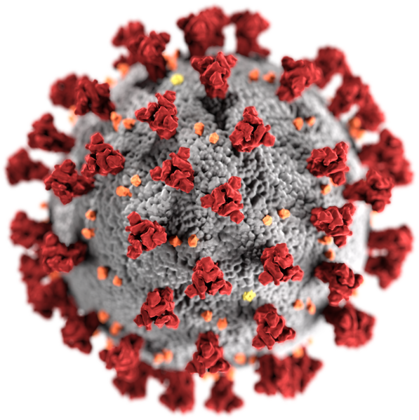 Trimery proteinu spike červeně. Kredit: CDC/ Alissa Eckert, MS; Dan Higgins, MAM.s