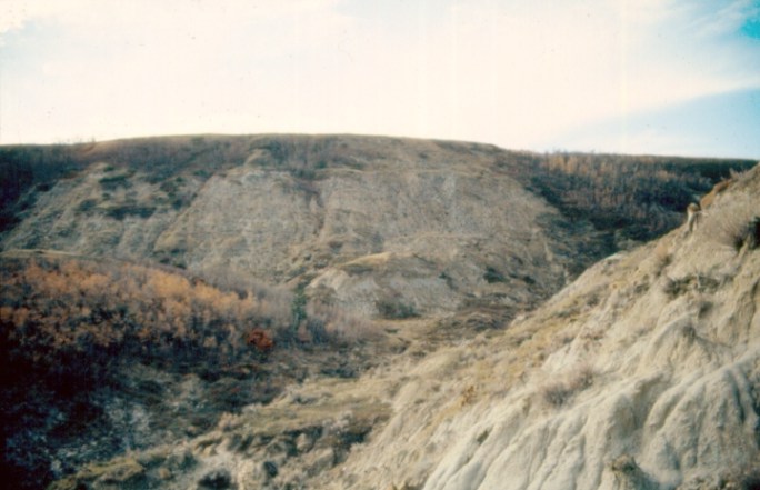 Výchozy souvrství Scollard při řečišti Red Deer River v kanadské Albertě. Právě v těchto vrstvách byl objeven zatím geologicky nejmladší známý exemplář druhu T. rex. Žil maximálně asi 300 000 let před katastrofou K-Pg. Kredit: Anky-man, Wikipedie (CC