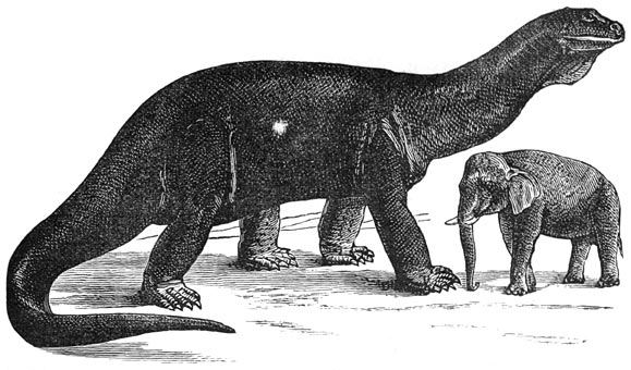 ZastaralĂˇ rekonstrukce sauropoda atlantosaura. OhromnĂ© rozmÄ›ry tÄ›chto dinosaurĹŻ udivovaly vÄ›deckou i laickou veĹ™ejnost jiĹľ koncem 19. stoletĂ­. Zdroj: Wikipedie