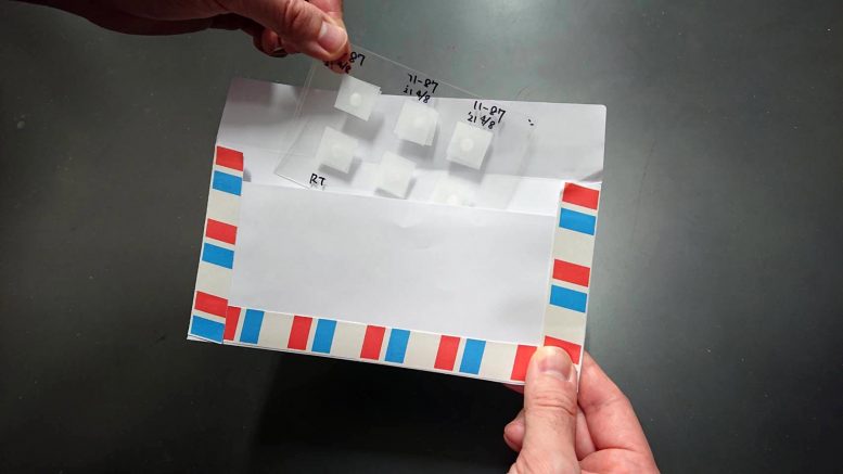 Názorná ukázka, jak si vědci poslali myší spermie z jedné laboratoře do druhé japonskou poštovní službou. Kredit:  Daewoo Ito, Yamanashi University.