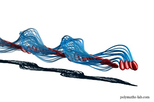 Jednostranný tah bičíku kompenzuje rotace hlavičky a výsledkem je pohyb stylu „vývrtka“ Symetrie se dosahuje asymetrií, což umožňuje spermiím plavat vpřed. Kredit: polymaths-lab.com