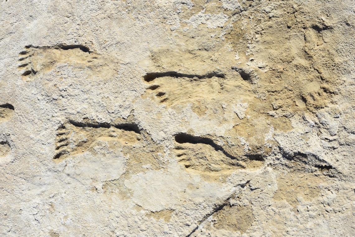 Stopy lidí v národním parku White Sands v Novém Mexiku dokládají, že k lidské činnosti došlo v Americe již před 23 000 lety - tedy asi o 10 000 let dříve, než se dříve myslelo. 
Na místě se rovněž našly  stopy mamutů, obřích lenochodů a vlků.  Další