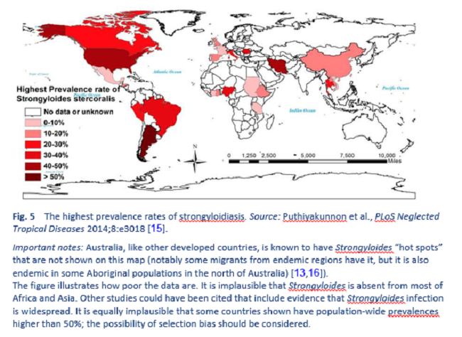 Světová zdravotnická organizace udává u strongyloidózy celkovou globální prevalenci 8 %. Nejpostiženější oblasti jsou jihovýchodní Asie, západní Pacifik a africké regiony. To se však rychle mění. (Kredit: Puthiyakunnon PloS Neglected Tropical Disease