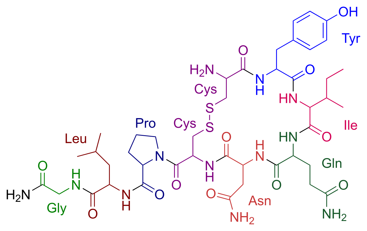 Oxytocin - malý, přirozeně se vyskytující peptid. Uvádí se u něj, že stimuluje kojení a léčí některé psychiatrické poruchy. Strukturní vzorec.  Autor: Calvedo, volné dílo.