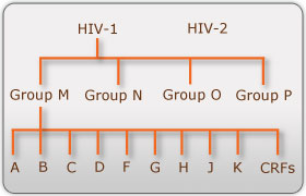 HIV typy skupiny a subtypy.