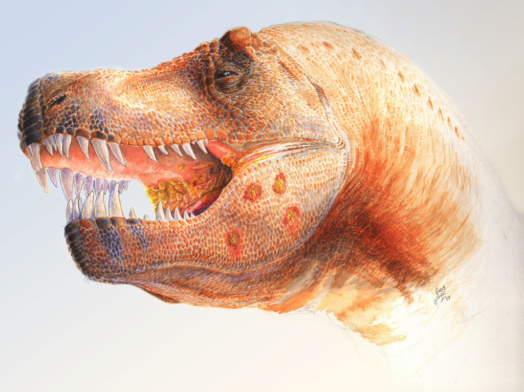 Rekonstrukce možného vzezření nakaženého jedince druhu Tyrannosaurus rex (založená na fosilním exempláři MOR 980) s dobře patrnými lézemi na spodní čelisti a v okolí hrdla. Jedná se pouze o hypotetickou rekonstrukci, založenou na odborné práci, publi