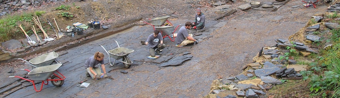 Okolí Braunschweigu je na jurské nálezy bohaté, nechybí ani fosilie ichtiosaurů. Kredit:  Geopark Braunschweiger Land. http://geopark-hblo.de/standorte/geopunkte/jurameer-schandelah/