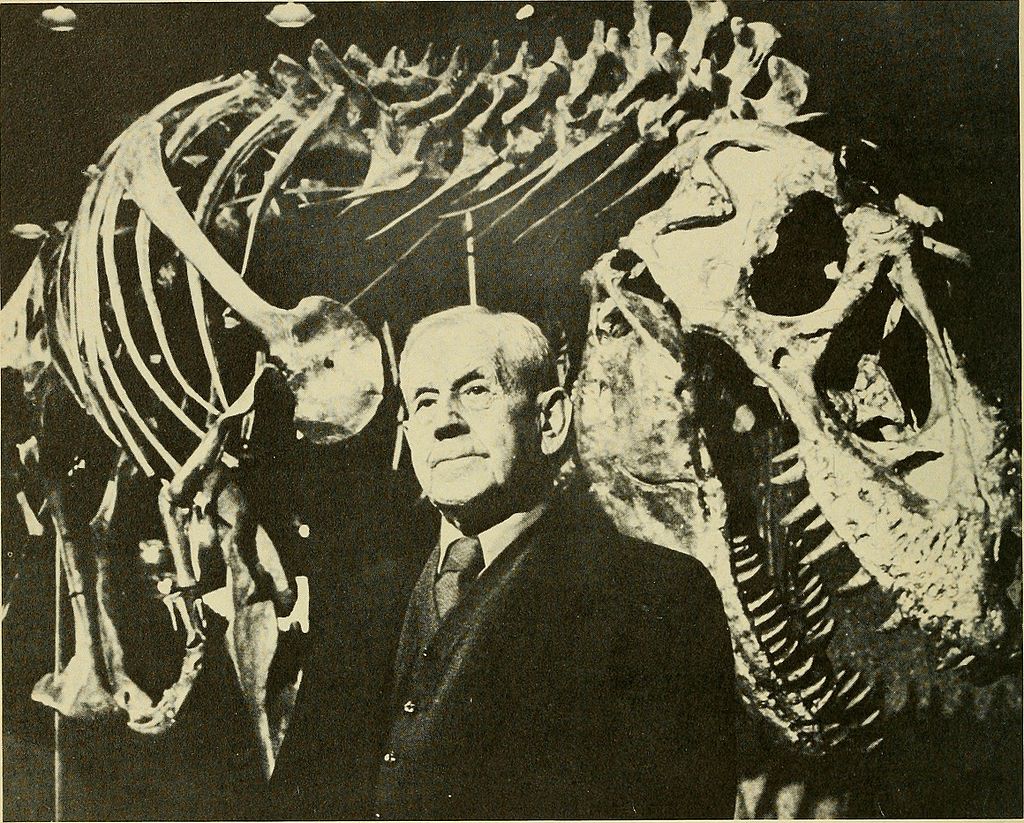 Holotyp druhu Daspletosaurus torosus se svým objevitelem, paleontologem Charlesem Mortramem Sternbergem (1885-1981). Sternberg odkryl první známé fosilie daspletosaura v roce 1921 nedaleko dnes již opuštěného města Steveville v jihovýchodní Albertě. 