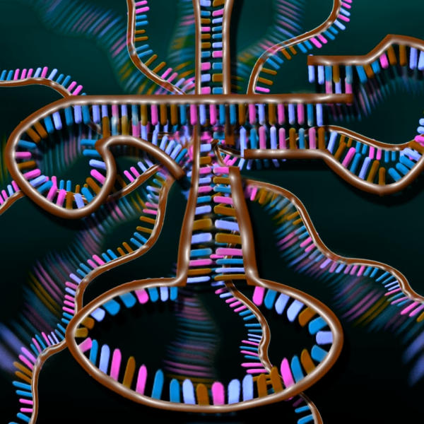 Jak asi vypadal RNA svÄ›t? Kredit: Nicolle Rager-Fuller/ NASA.