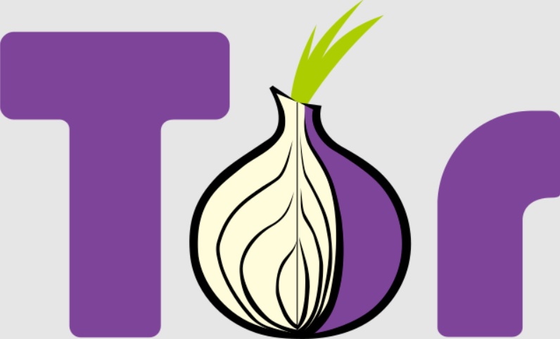 Logo projektu Tor. Kredit: The Tor Project, Inc. / Wikimedia Commons.