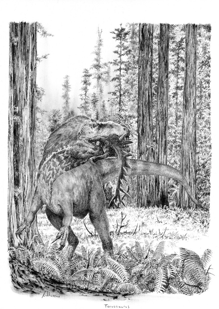 Výtvarná rekonstrukce přibližného vzezření rodu Torvosaurus, obřího dravého dinosaura z období pozdní jury. Podle jedné aktuální studie mohl být původce velkých zubů ze souvrství Tendaguru právě zástupcem tohoto rodu. Pravděpodobně se tak jednalo o j