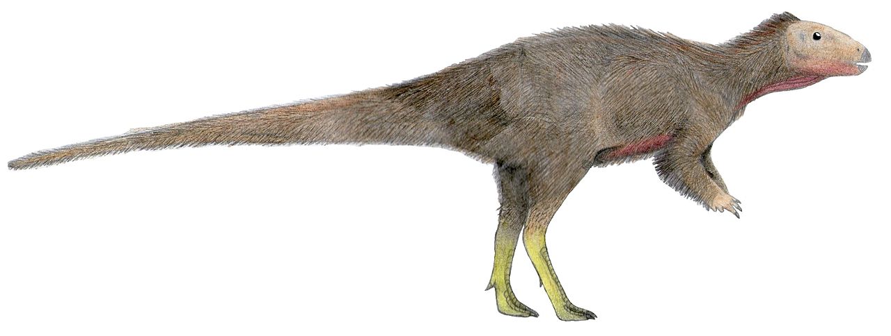 PĹ™ibliĹľnĂ© vzezĹ™enĂ­ ornitopoda druhu Trinisaura santamartaensis, vÄ›decky popsanĂ©ho v roce 2013. Morrosaurus vypadal zĹ™ejmÄ› velmi podobnÄ›, jde o dva blĂ­zce pĹ™Ă­buznĂ© druhy. Oba dinosauĹ™i obĂ˝vali Antarktidu v obdobĂ­ svrchnĂ­ kĹ™Ă­dy, kdy