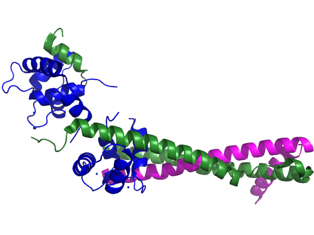 Troponin  je komplex tří proteinů: troponin C (modře) , troponin I (zeleně) a troponin T (purpurově), které jsou nedílnou součástí svalové kontrakce. Troponiny I a T  (kardiální) slouží jako indikátor poškození srdečního svalu.  Prahová hodnota kardi
