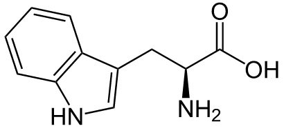 Aminokyselinu  tryptofan si neumíme syntetizovat a i když jí je v proteinech jen nepatrně  (necelé jedno a půl procenta), bez ní to zkrátka nejde. Jak u lidí, tak i u křečků.