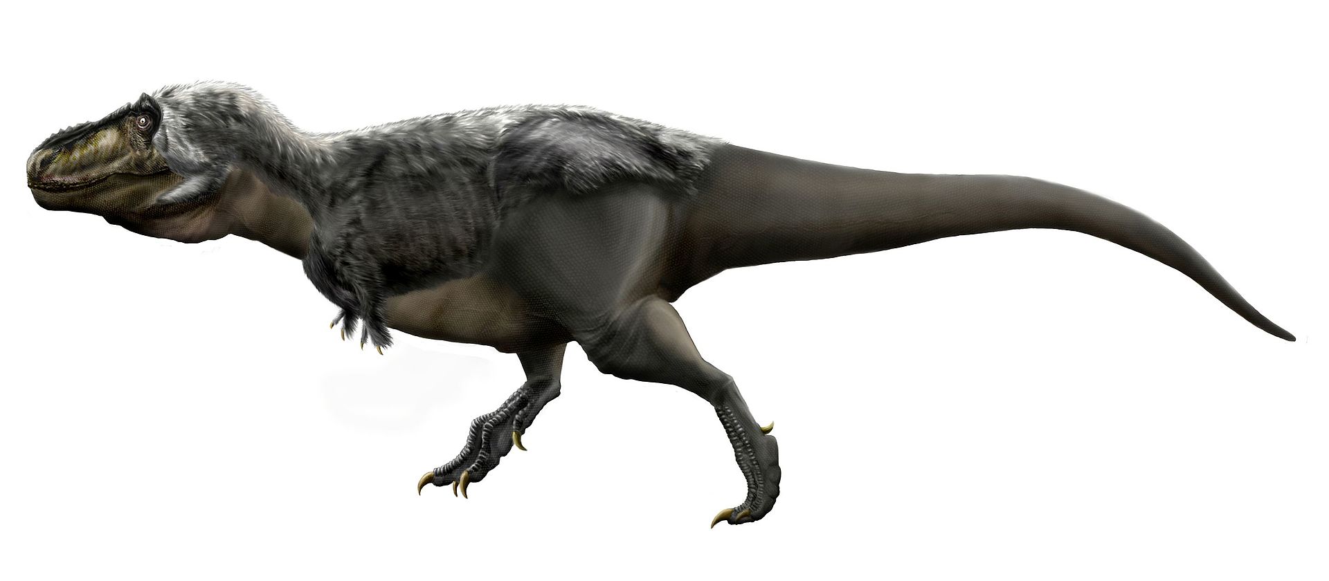 Moderní představa o vzezření pozdně křídového tyranosauridního teropoda druhu Tyrannosaurus rex. Tento obří několikatunový masožravec obýval území západu Severní Ameriky v době před 68 až 66 miliony let. Dnes je ikonou populární kultury a patří k nej
