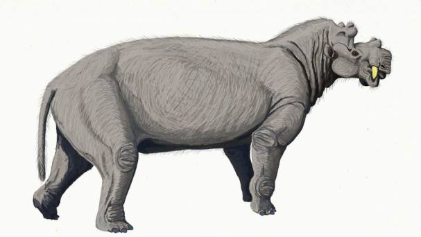 Rekonstrukce pravděpodobného vzezření živého uintatéria. Zpočátku by nám nejspíš hodně připomínal hrocha nebo nosorožce, při bližším pohledu na jeho hlavu bychom ale byli rychle vyvedeni z omylu. Tito až několik tun těžcí savci obývali v průběhu eocé