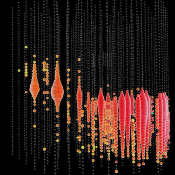 Kredit: Leif Radel / LBNL.