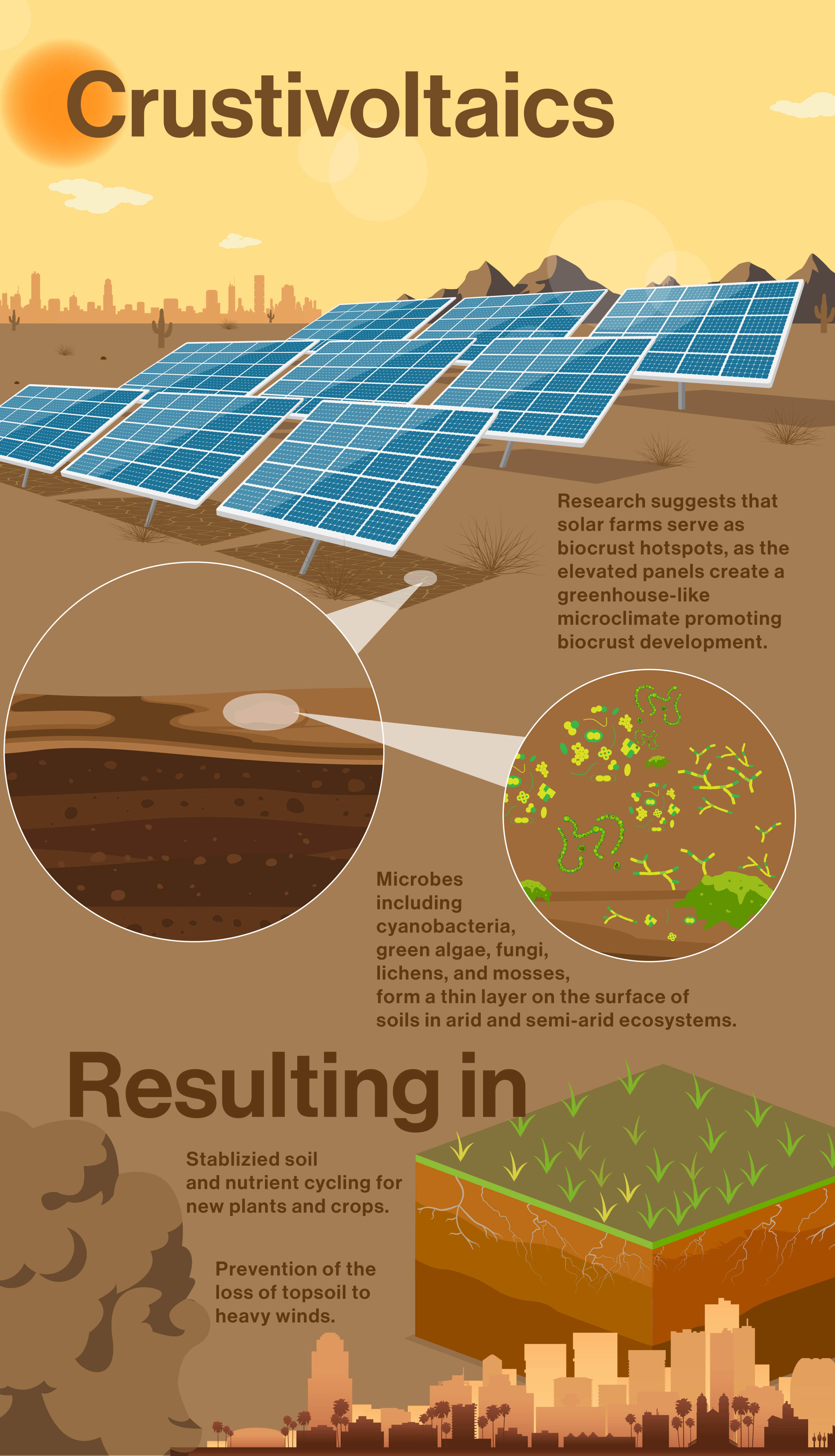 Solární farma v dolní části Sonorské pouště podpořila tvorbu biokrusty, zdvojnásobila její biomasu a ukázala cestu k obnově půd pouštních oblastí. Kredit: Shireen Dooling