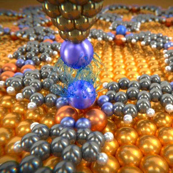 Van der Waalsovy sĂ­ly mezi atomem xenonu na hrotu mikroskopu a atomem vzĂˇcnĂ©ho plynu vÂ kelĂ­mku zÂ atomĹŻ mÄ›di. Kredit: University of Basel, Department of Physics.