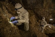 Vykopávky v jeskyni Chiquihuite odhalily téměř 2000 kamenných nástrojů. Kredit: C.F. Ardelean, University of Exeter. 
Jaké nástroje archeologové v jeskyni našli jsou k vidění ZDE, http://www.sci-news.com/archaeology/stone-tools-chiquihuite-cave-mexi