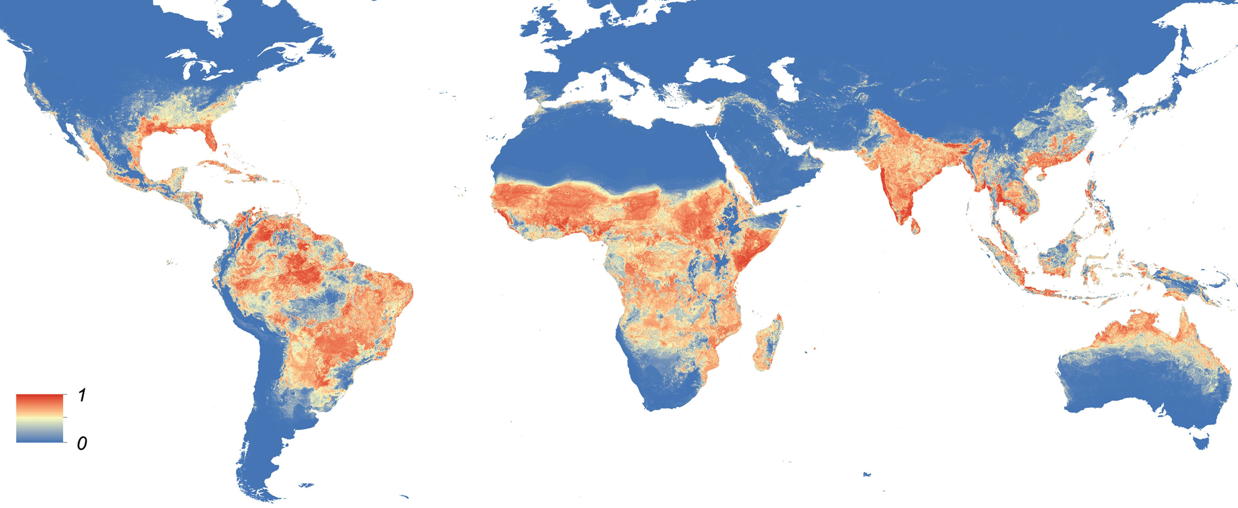 Výskyt komára Aedes aegypti přenášejícího virus zika. Modré jsou oblasti, kde se nevyskytuje, červené s vysokým výskytem. Kredit Moritz UG Kraemer a kol. http://elifesciences.org/content/4/e08347