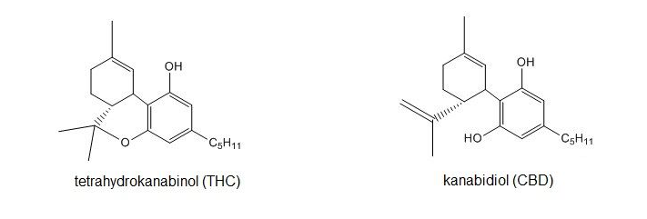 THC a CBD vznikají ze stejné molekuly, proto jsou si tak podobné. Kredit: www.hemps.cz