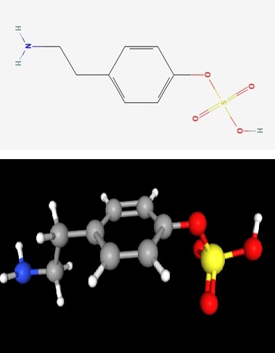 Tyramin-O-sulfát, C8H11NO4S, případně jej lze vyhledat také jako:
[4-(2-aminoethyl)phenyl] oxidanesulfonic acid. Kredit: NIH.