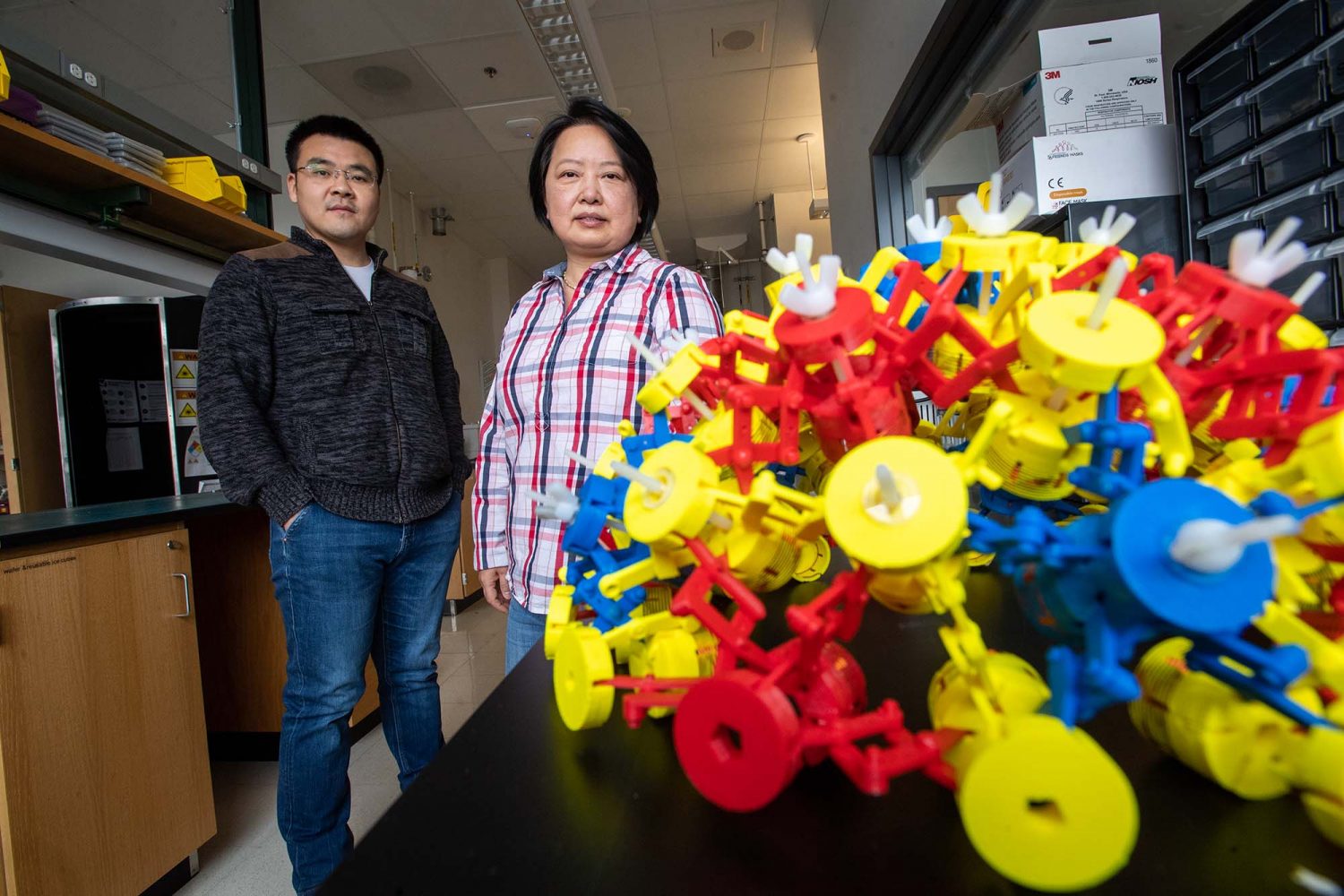 Vedoucí týmu, profesorka Xin Zhang s doktorandem Ke Wu. V popředí auxetická struktura která je optimalizovaná pro megahertzové frekvence používané při zobrazení magnetickou rezonancí Kredit: Boston University