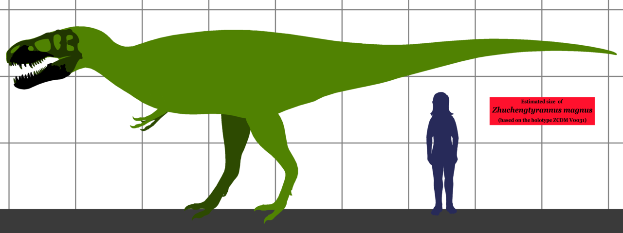 Konzervativní odhad velikosti holotypu Z. magnus na základě porovnání s proporcemi příbuzných tyranosauridů. Ve skutečnosti mohl být tento jedinec ještě přibližně o 10 % větší. Pokud obří obratle nalezené ve stejném lomu patřily rovněž tomuto druhu, 