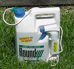 Roundup