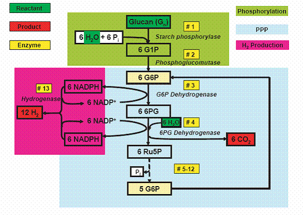 schema