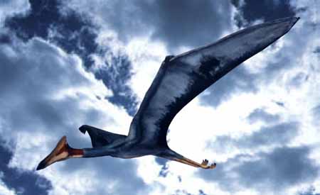 Quetzalcoatlus