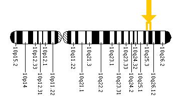 Mutace genu na desátém chromozómu poskytuje buňkám výhodu a stojí za tvorbou sobeckých spermií. 