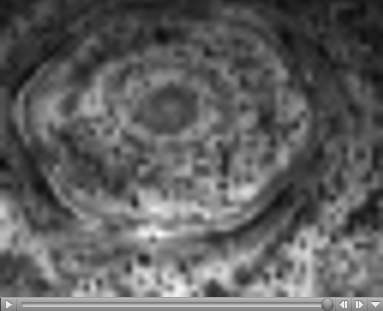 Zrychlená rotace hexagonu (10.11.2006). Kredit: NASA/JPL/University of Arizona